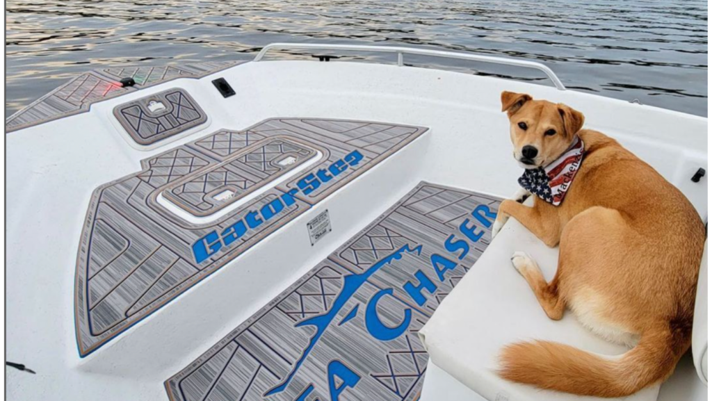 Check out these helpful tips for boating with pets before embarking on a boating adventure with your furry friends.